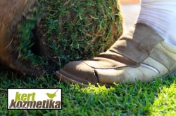 Gyepszőnyeg terítés (21)